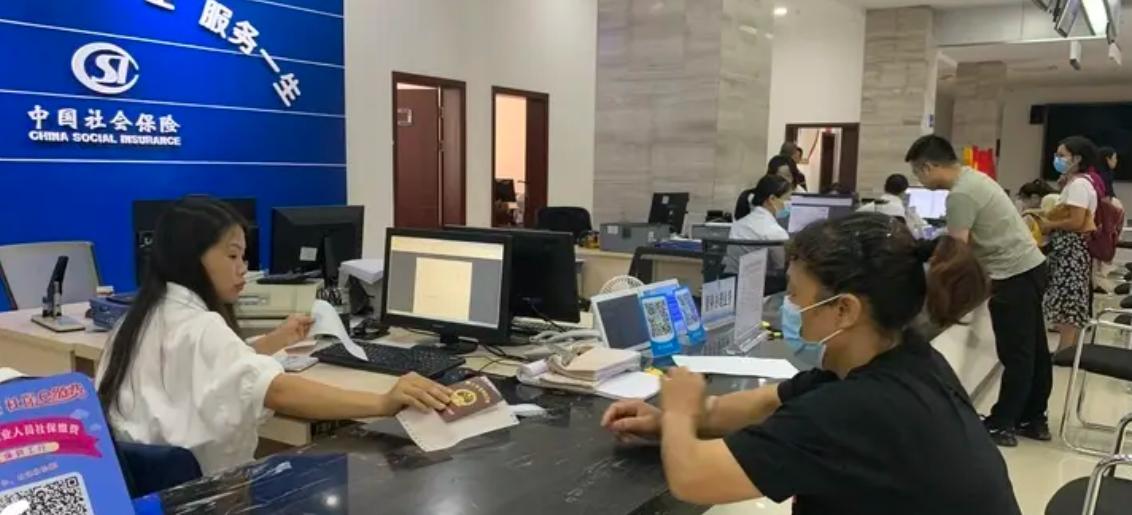 怎么查询养老保险缴费记录明细,哈尔滨养老保险缴费明细在哪查询