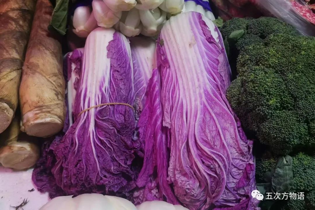 中国白菜种子,中国白菜最有名