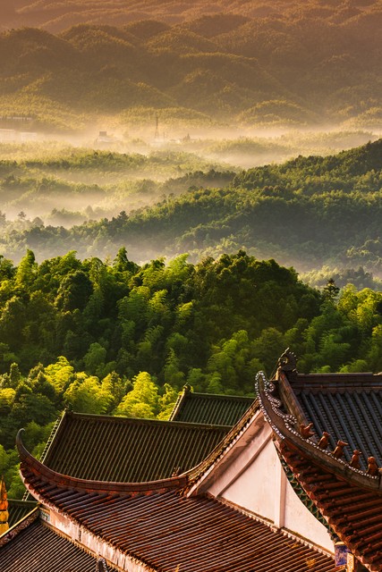 感情中男人对女人说顺其自然,感情中一个男人经常说对不起你