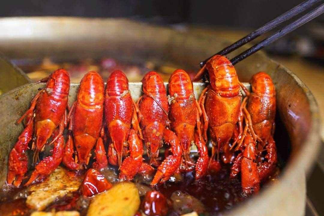 报复性开店、低价团购......火锅老板直呼伤不起！