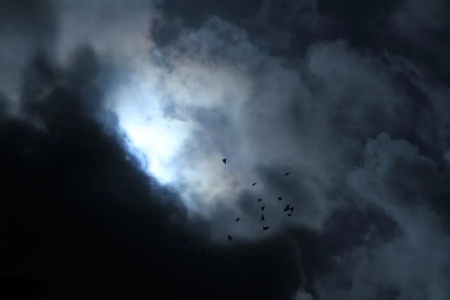 沈万三用银子收铜钱发财是第几集,聚宝盆沈万三的发财之道