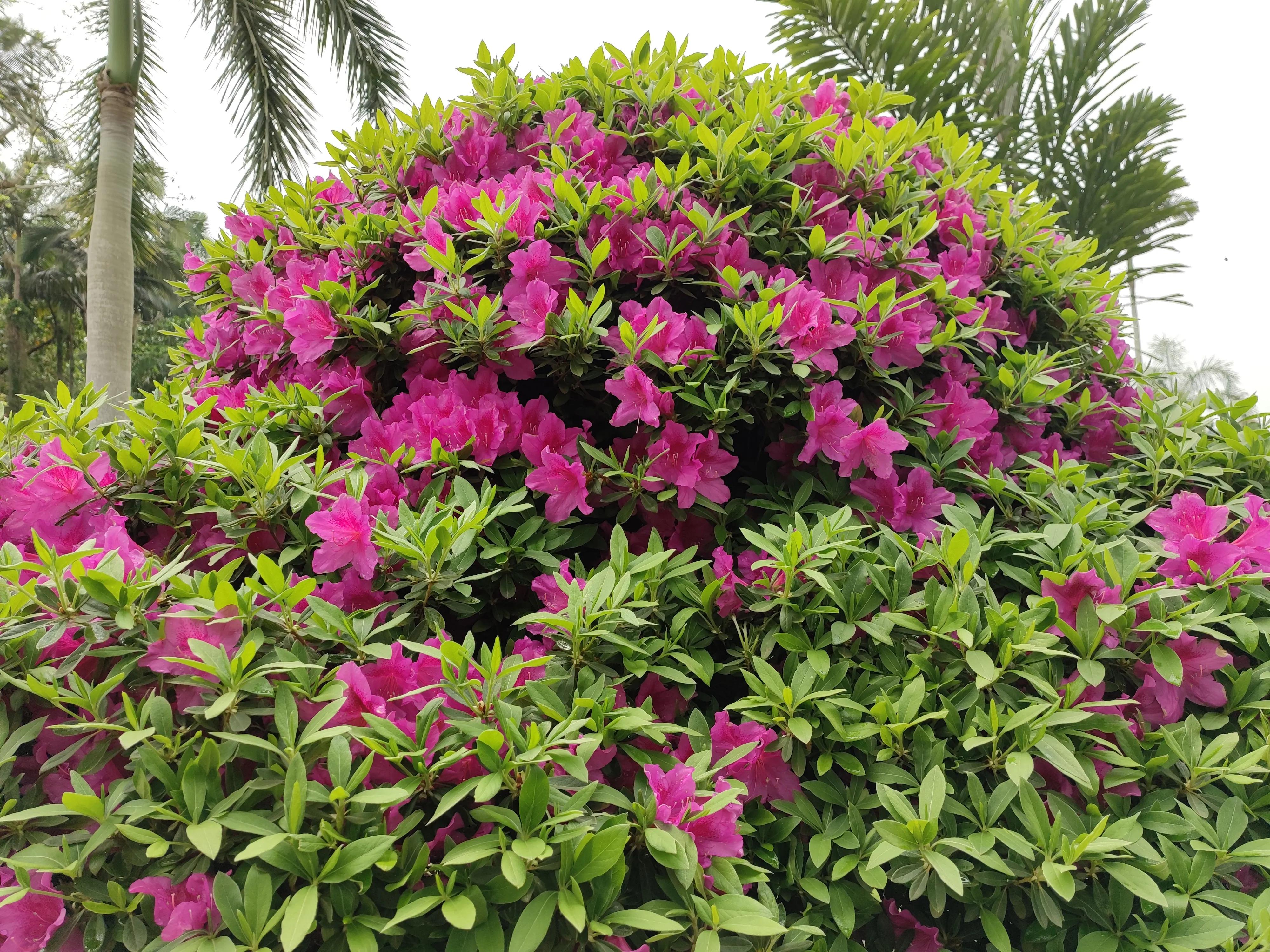 辟谷修仙记第6部：我对自己多狠呀！左一刀右一刀的砍自己