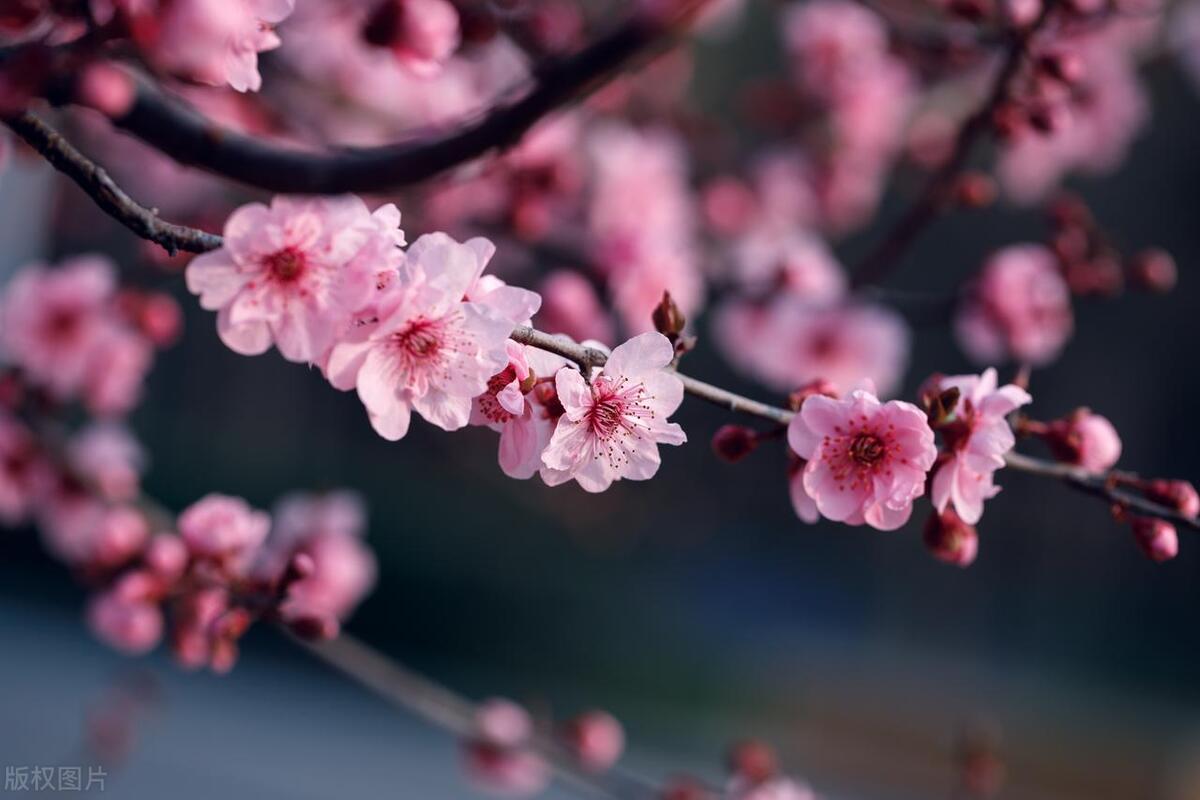 抖音店铺如何上架商品教程,抖音小店怎么上架自己商品步骤