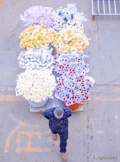 没有人能空手走出采摘园,无人能空手走出斗南花市