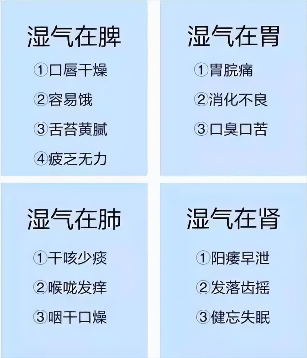 痰湿肥胖克星一览表,痰湿内蕴代谢慢肥胖怎么减肥