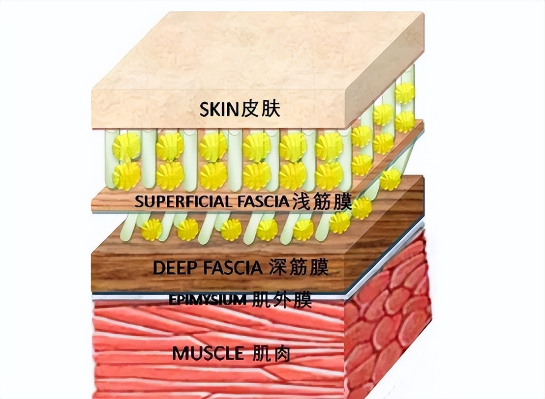 有没有比较好的筋膜枪,如何选择适合你的筋膜枪