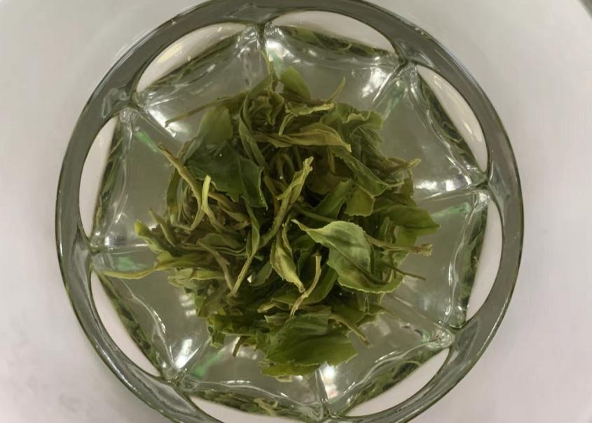 45岁河南大哥以身试茶，一喝就是15年！最终解开3个茶叶“谣言”