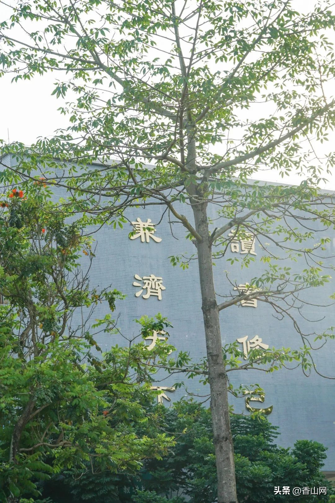 北师大珠海附中,三年青春在校园里