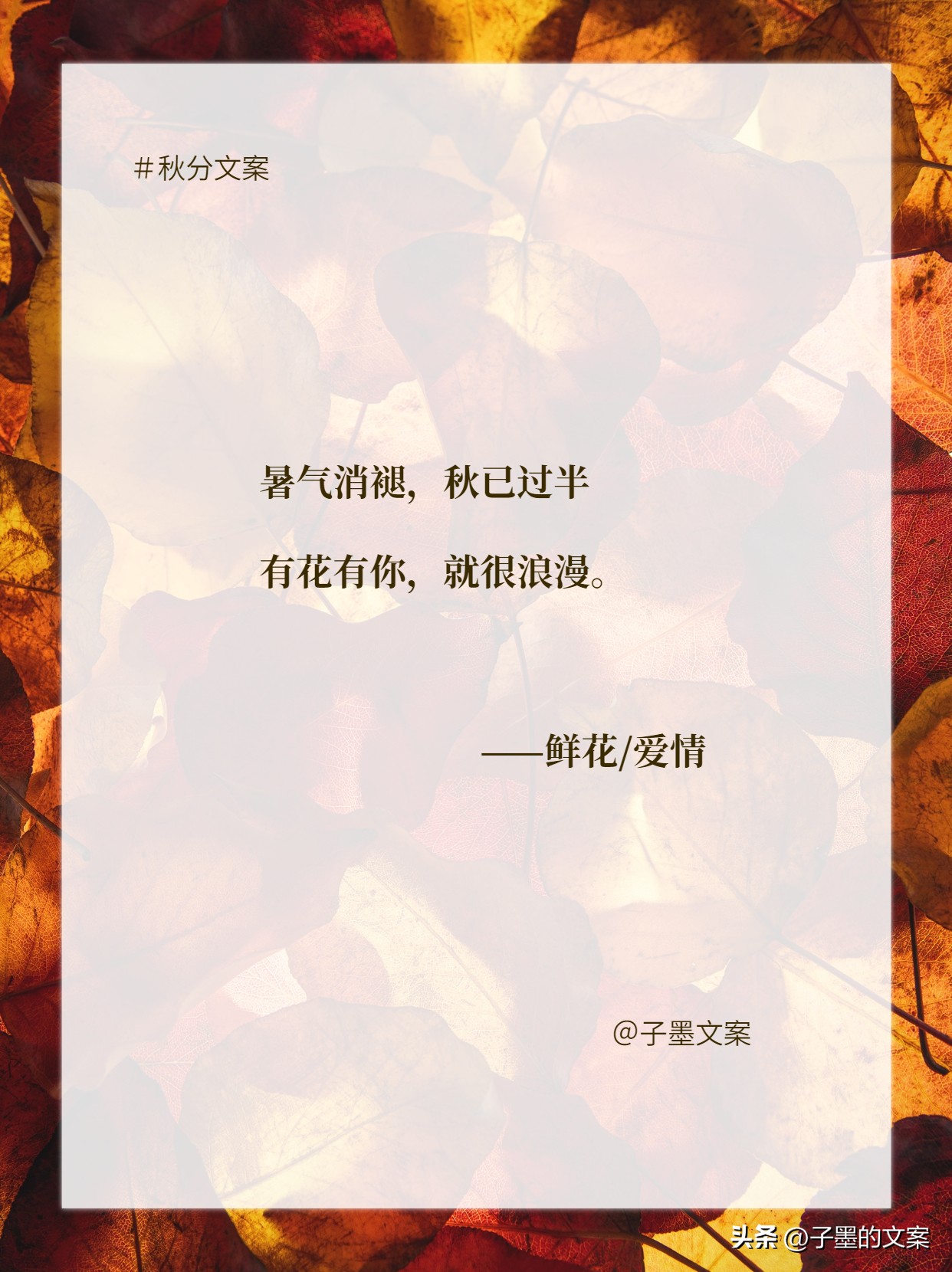 秋分朋友圈文案小红书,秋分暖心文案短句唯美