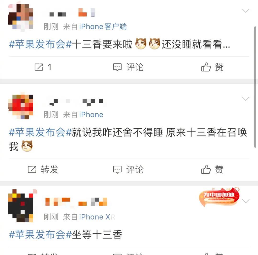 苹果发布会上王守义十三香为何引发流血事件？