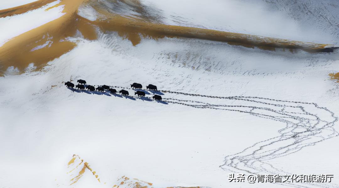 冬日青海的美，只有去过的人才知道