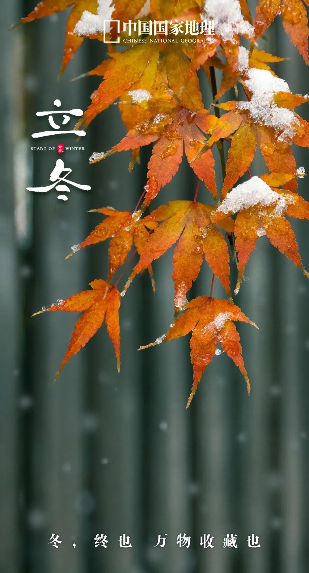 365天最美24节气图诞生惊艳国人,这组24节气图太美了