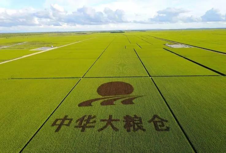 北大荒为什么退林还耕,北大荒垦荒什么时候开始的