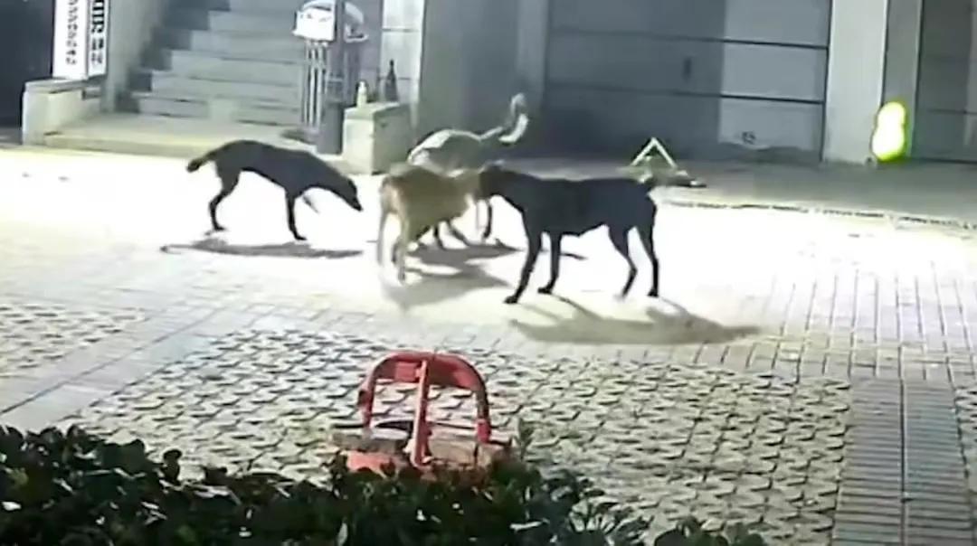 天津汐岸国际小区,天津汐岸国际