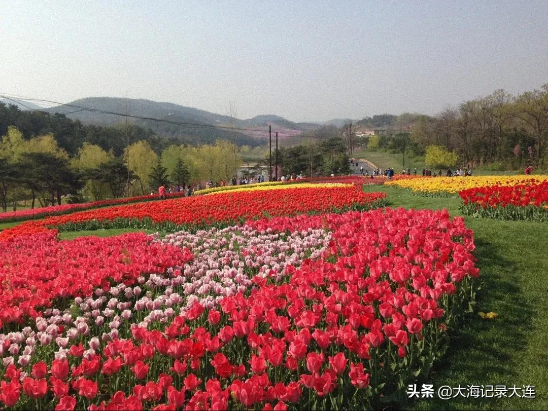 国内适合康养旅游的城市，除了海南“三亚”还有大连“旅顺”