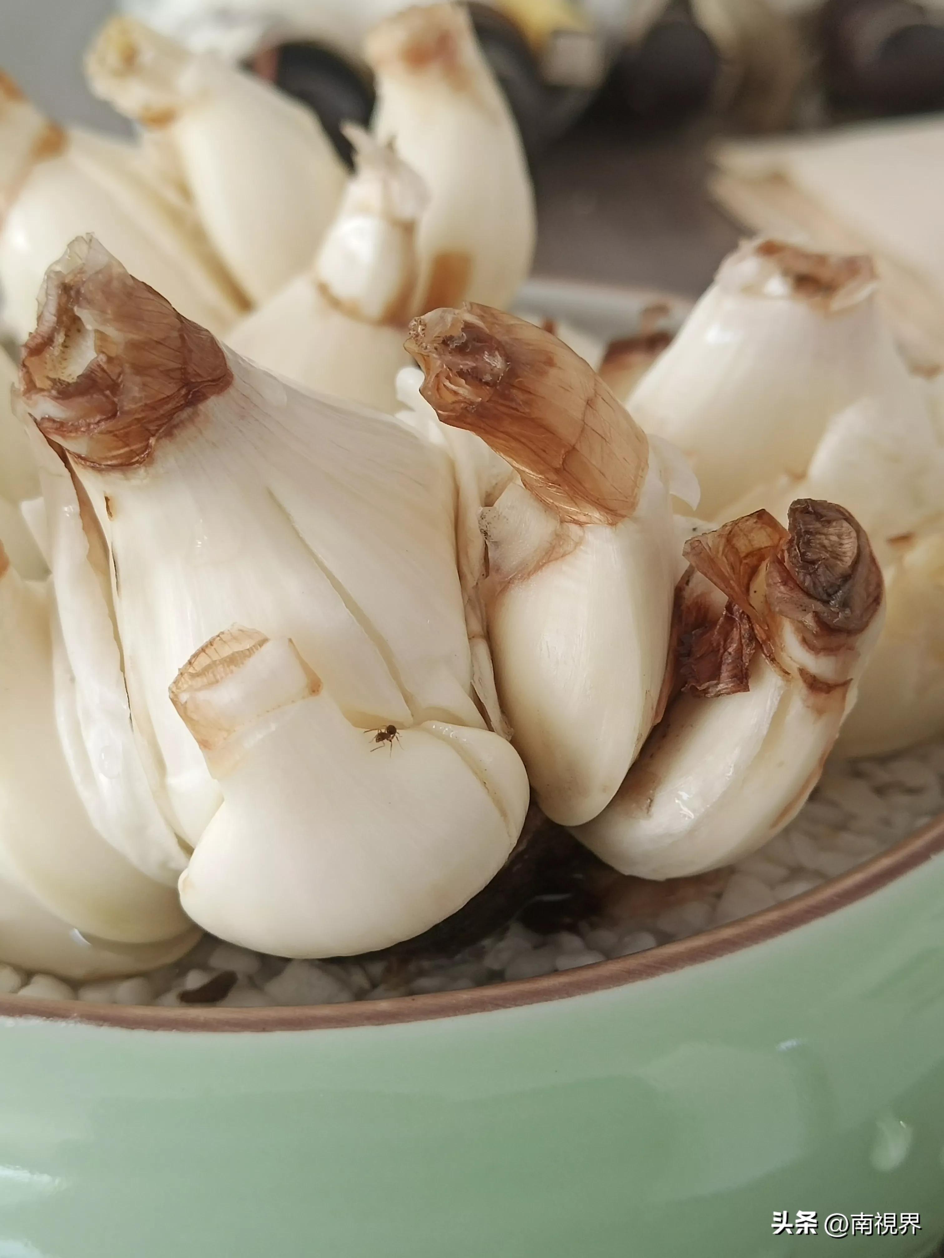 水仙随笔怎么写,水仙随笔绝美