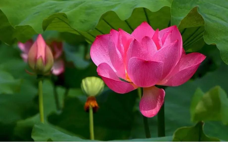 别人送你这2样东西万万不能要,别人送你旧东西时要注意什么