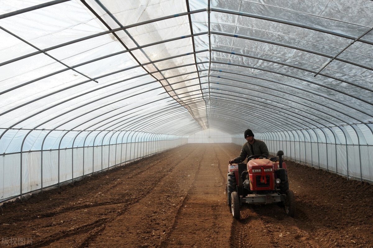 耕地撂荒，地力退化，粮食危机怎么办？专家：让农民种粮不吃亏