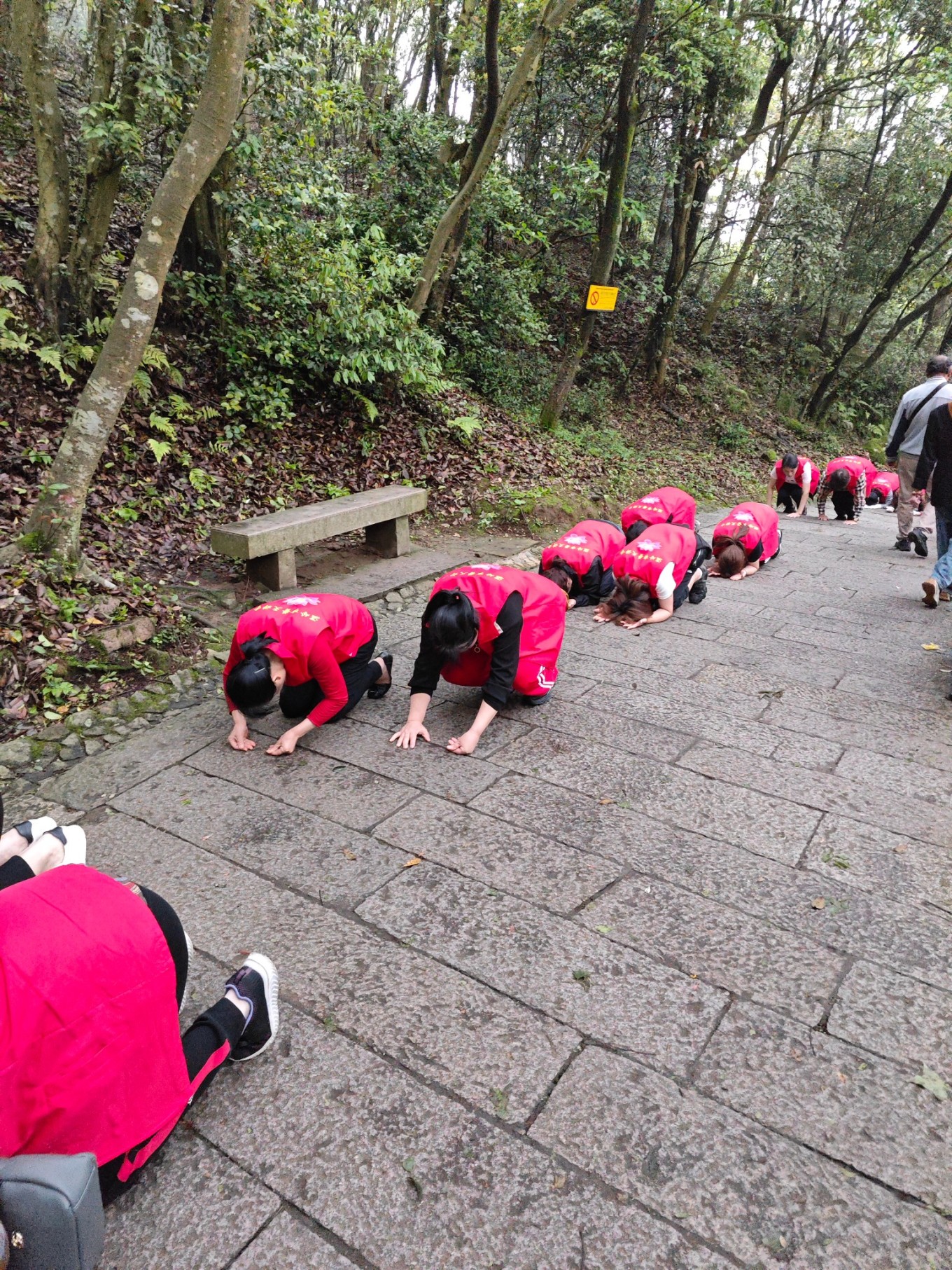 普陀山朝拜二日行,普陀山祈福三日游