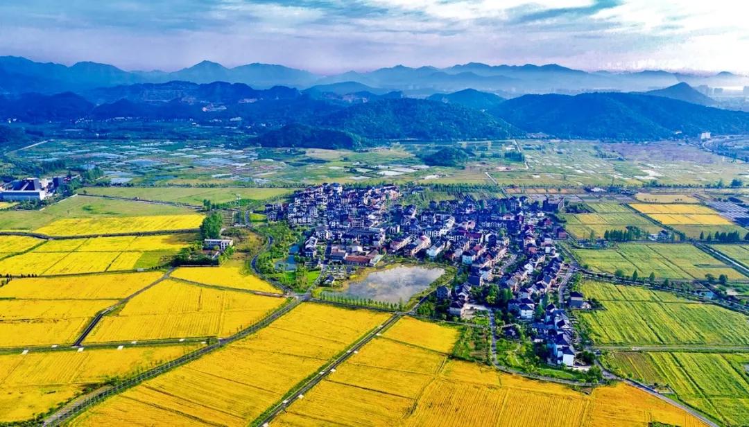 杭州西湖微信头像图片,杭州风景图片头像