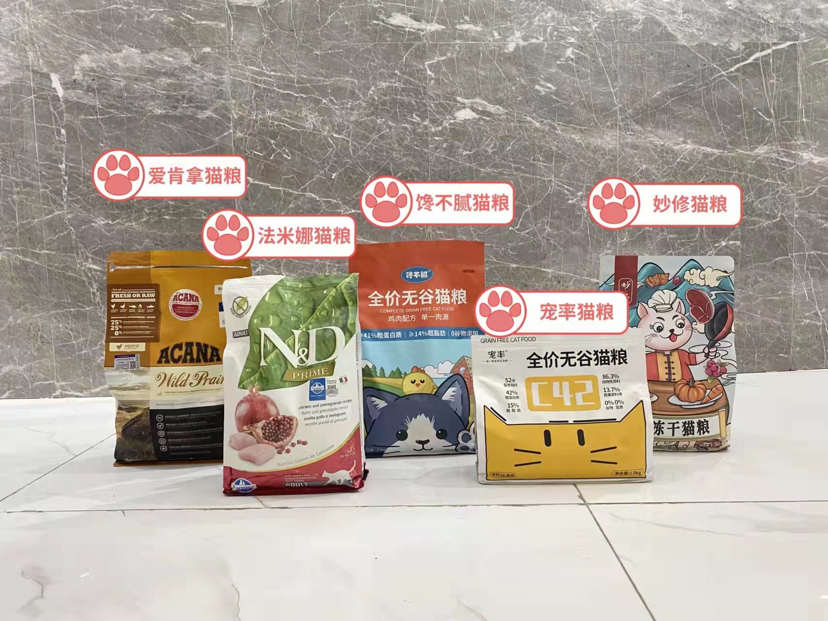 缅因猫猫咪科普,缅因猫知识讲解掉毛吗