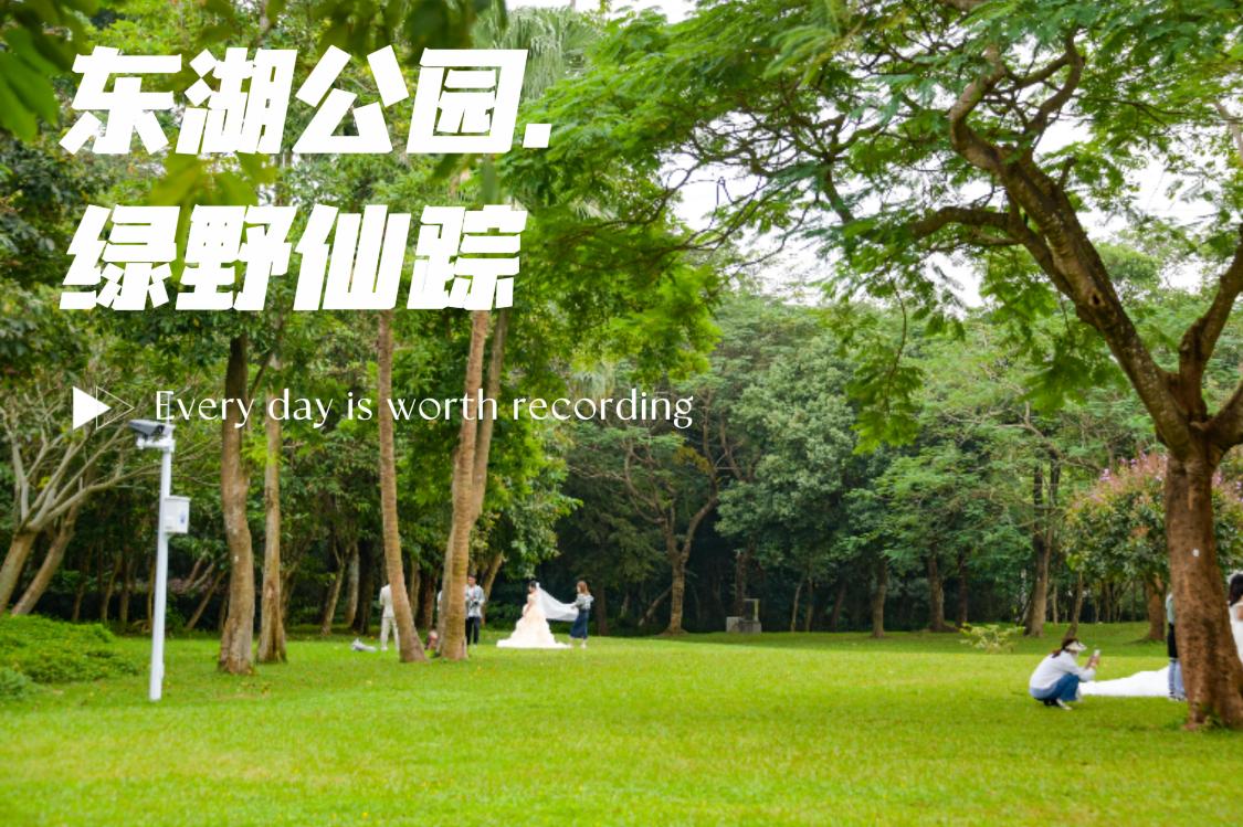 深圳东湖公园冬天游玩攻略,东湖公园打卡景点