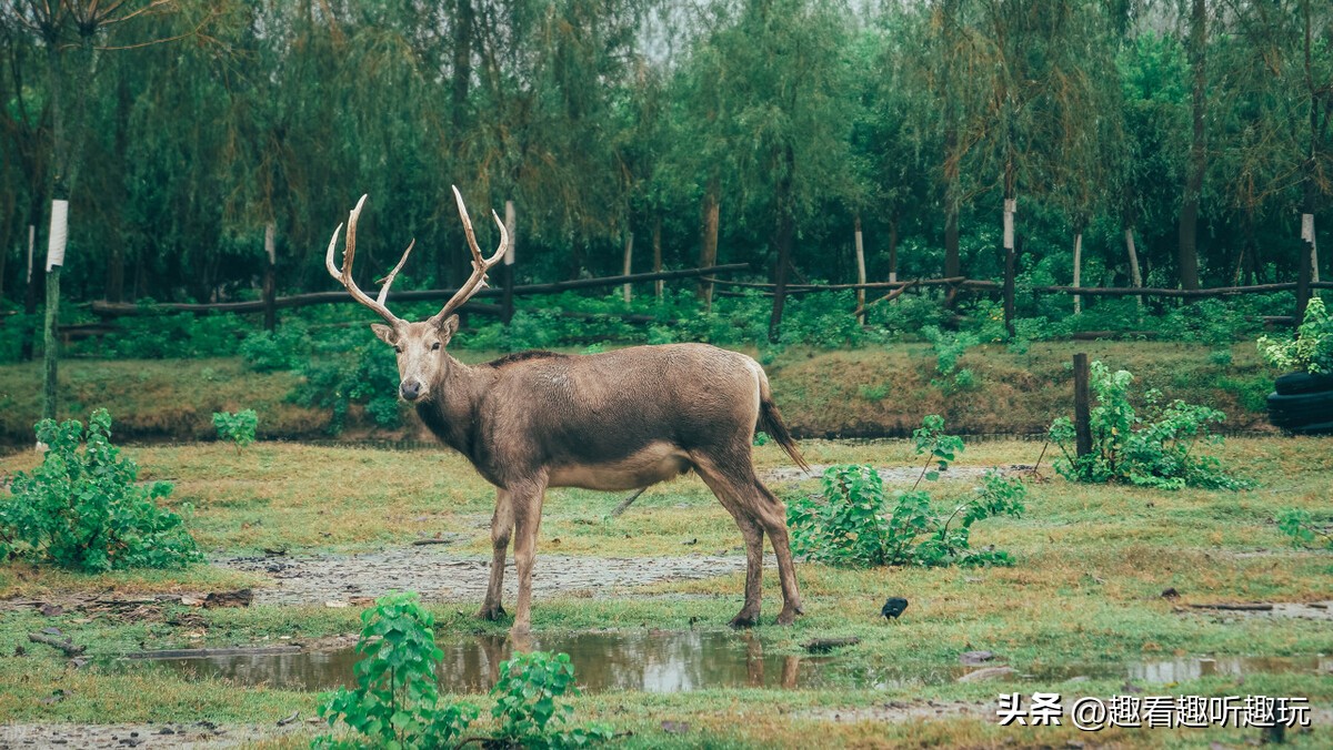 318家国家5a景区名单,国内免费十大5a级旅游景区
