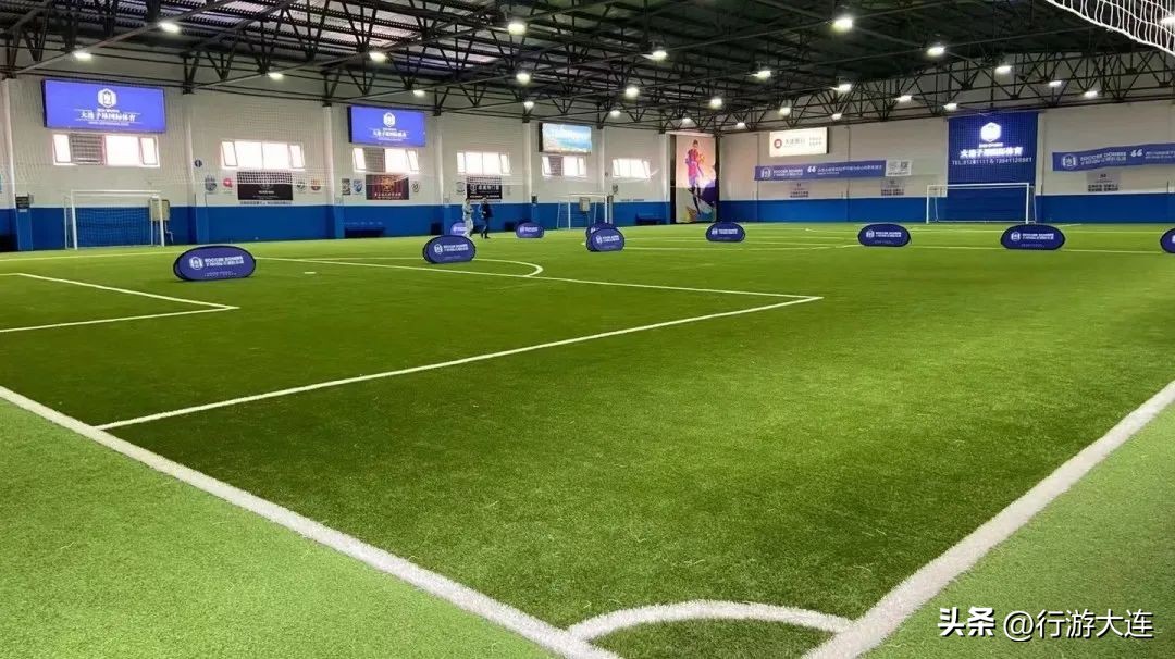 大连体育中心足球场专业足球场,世界杯足球场比赛场地