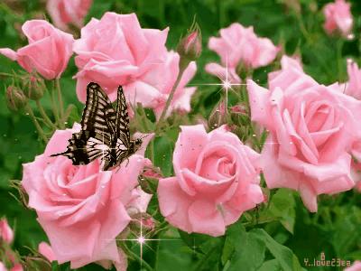 走在乡间的小路上,走在乡间的小路上口哨版