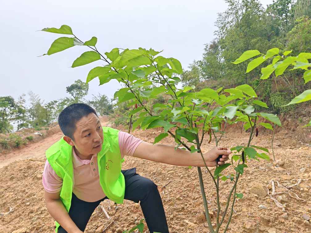 福延山庄——乡村振兴的花果山