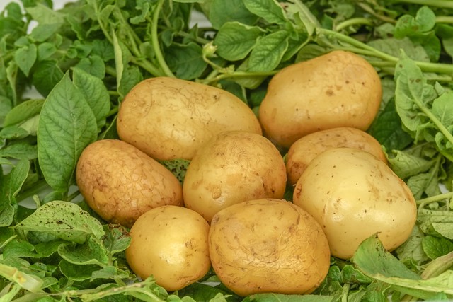 摆摊一斤土豆有多少利润,摆摊卖土豆一年能赚多钱