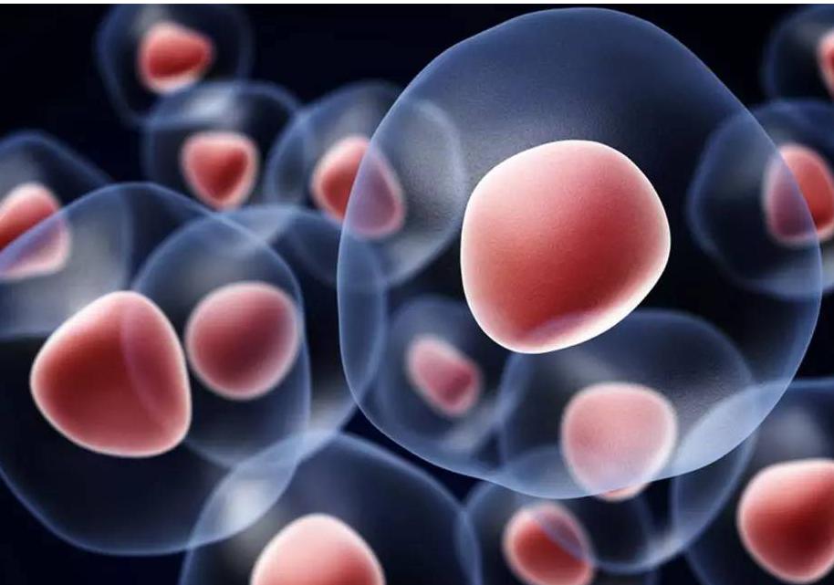 病理性神经疼吃什么药,病理性疼痛