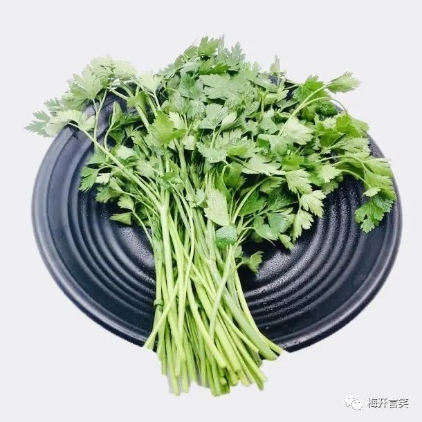 在澳洲种菜日记,我在澳洲学医