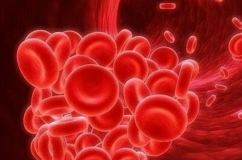 血红素蛋白结构与功能,血红素蛋白的作用效果