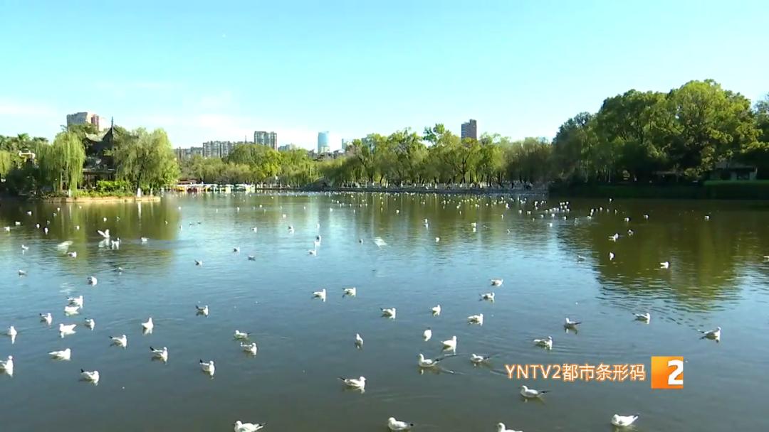 元旦假期或迎首个旅游高峰,元旦春节或迎出游新高峰