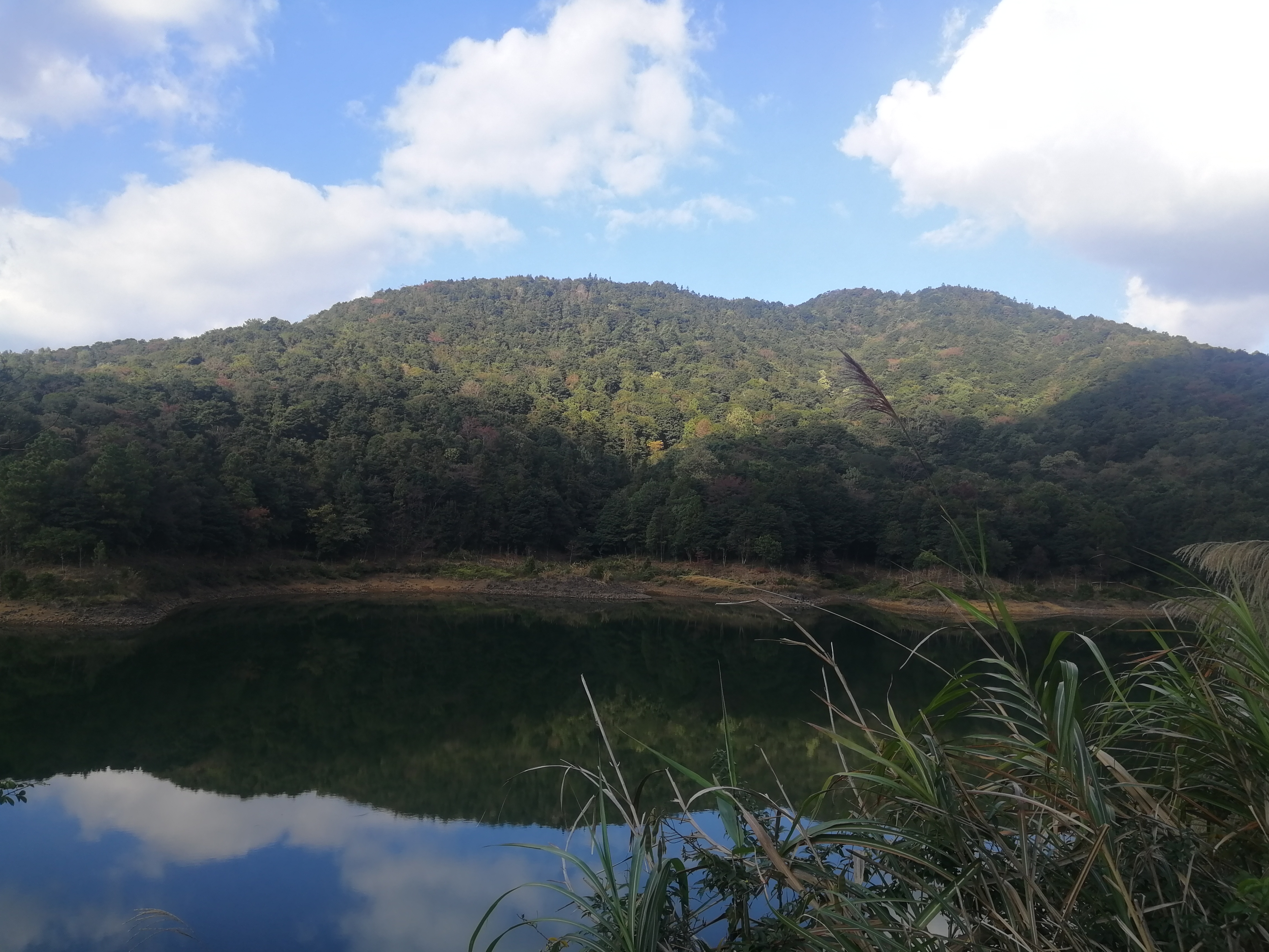 石门森林公园樱花谷交通线路,从化石门公园枫叶