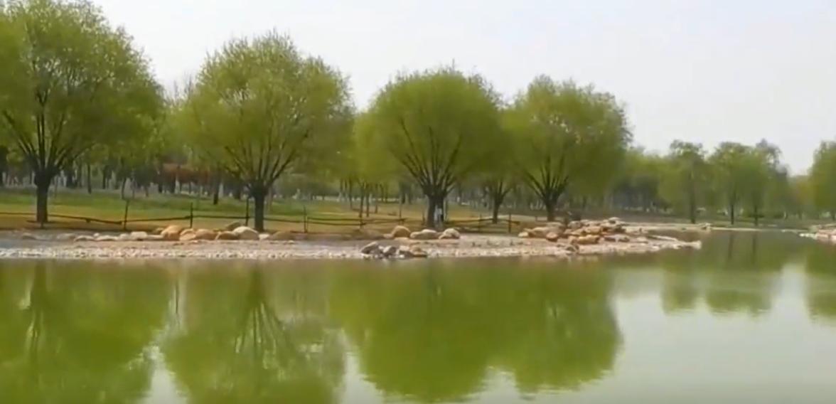 郑州出发暑假东北三省自驾游攻略,郑州出发山西自驾游线路推荐五天