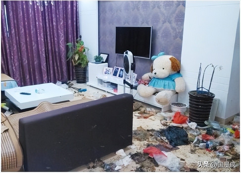 英国医生的噩梦：保罗·梅森重达1016斤，医院建议：死后拉屠宰场