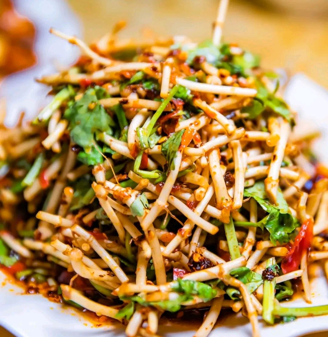 可以吃的野菜大全100种图解,教你认识100种野菜