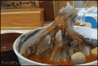 搞笑gif开心一刻这大概就是爱情吧,搞笑gif为了胜利我将不择手段