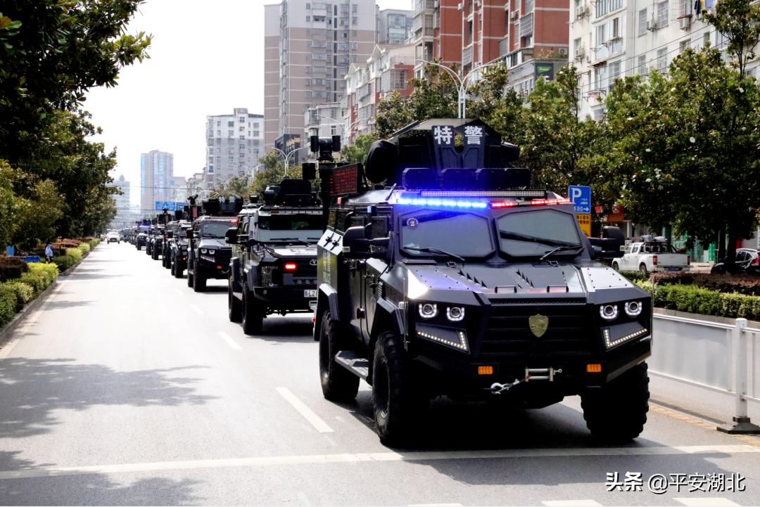 湖北公安发布百日行动阶段性战果,湖北公安百日行动