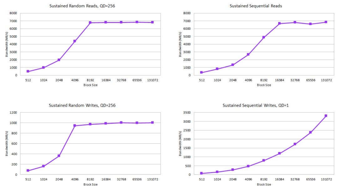 站在巨人的肩膀上焦点访谈,站在巨人的肩膀上牛顿原话讽刺谁