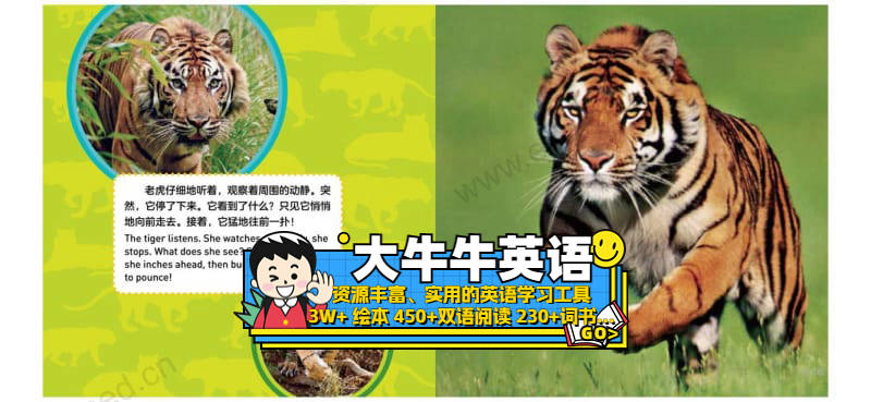 Tigers3~6岁英语启蒙绘本