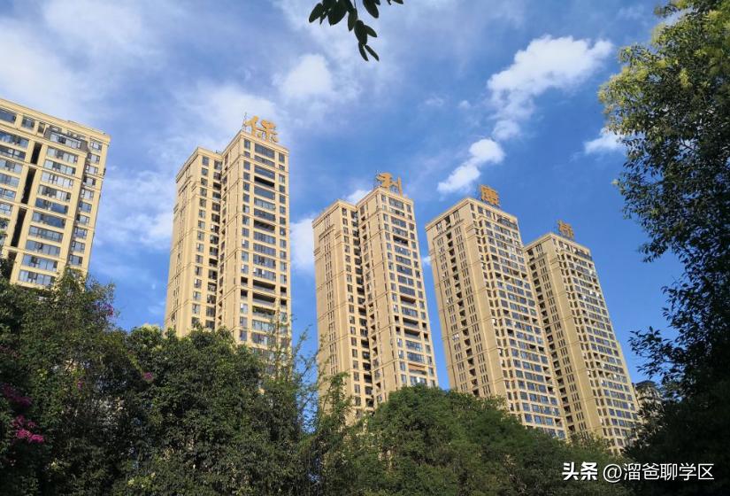 名校名企联手打造区域教育新高地,打造比肩东西海的教育强区