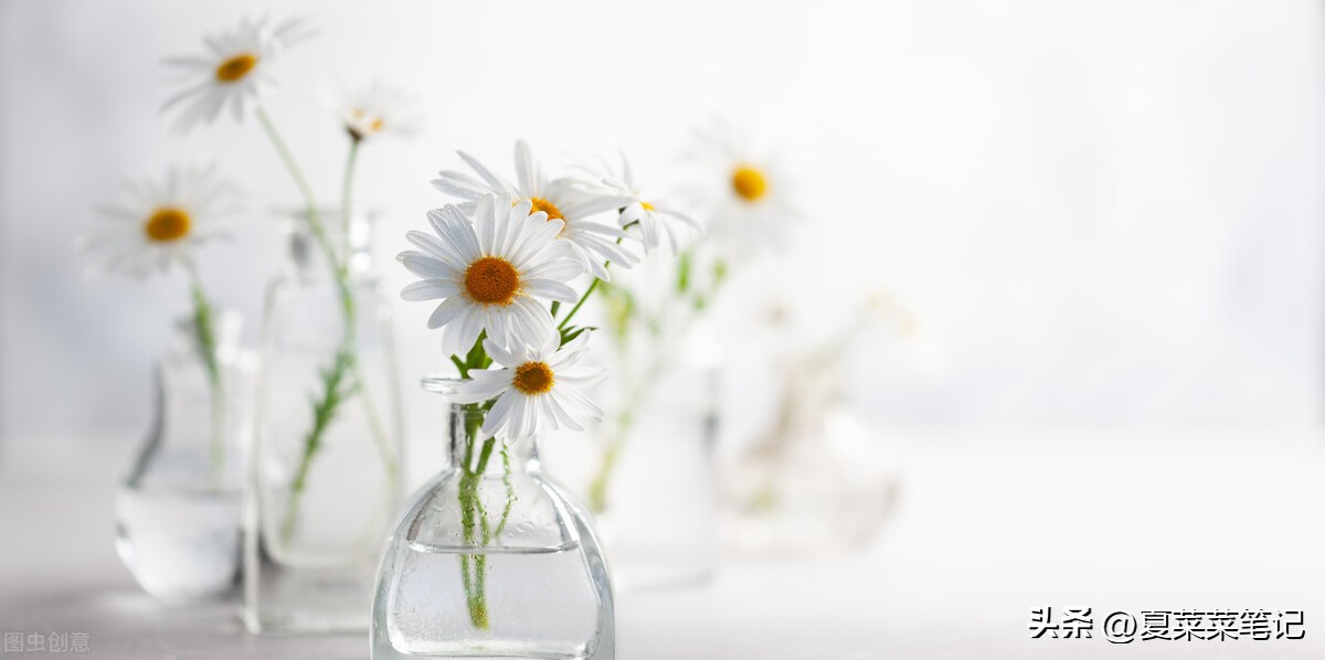 怎样做微头条才有收入,如何做微头条赚钱