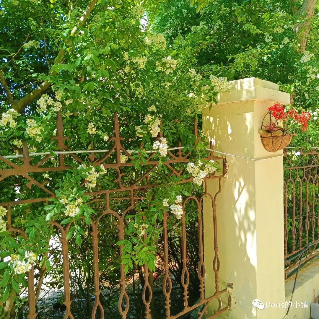 应届生保险经纪人之路,保险经纪人出路在哪