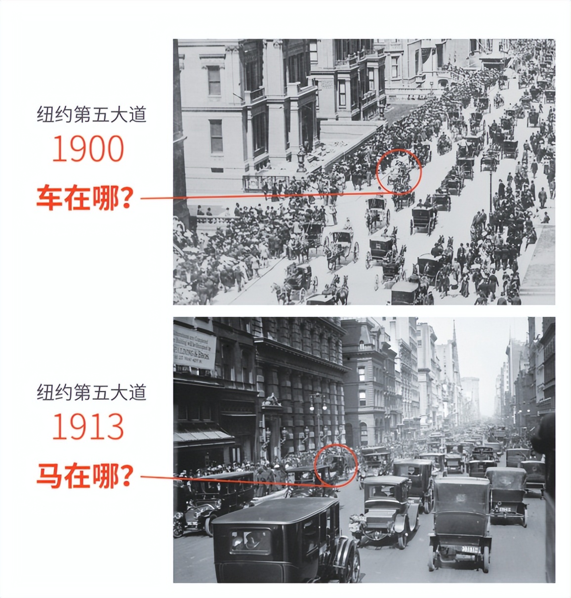 红绿灯引争议,红绿灯活动反思和评价