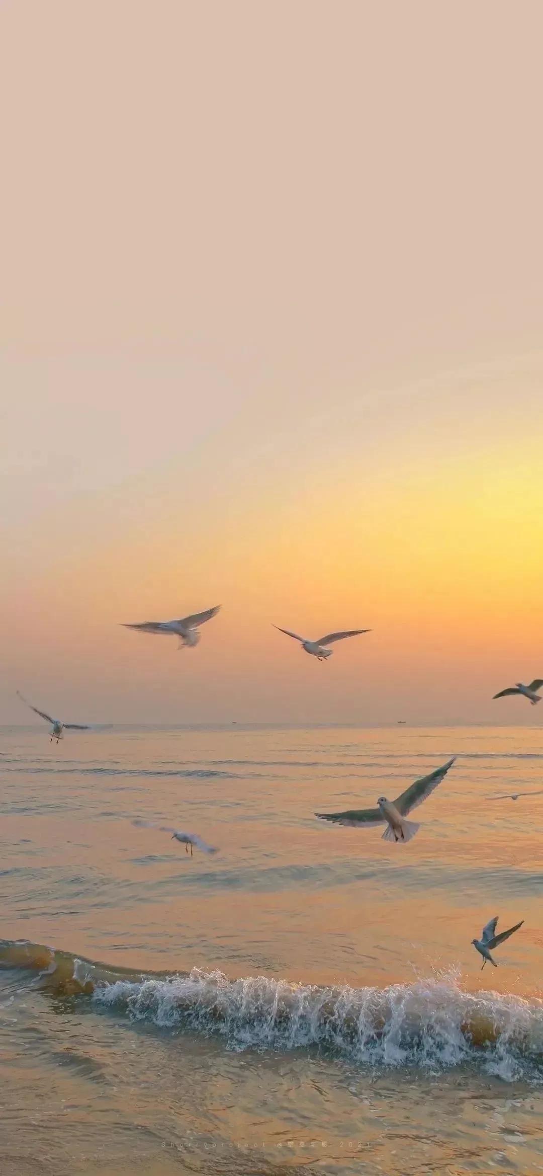 高清壁纸图片全屏干净高级,男士专用黑色美女全屏壁纸