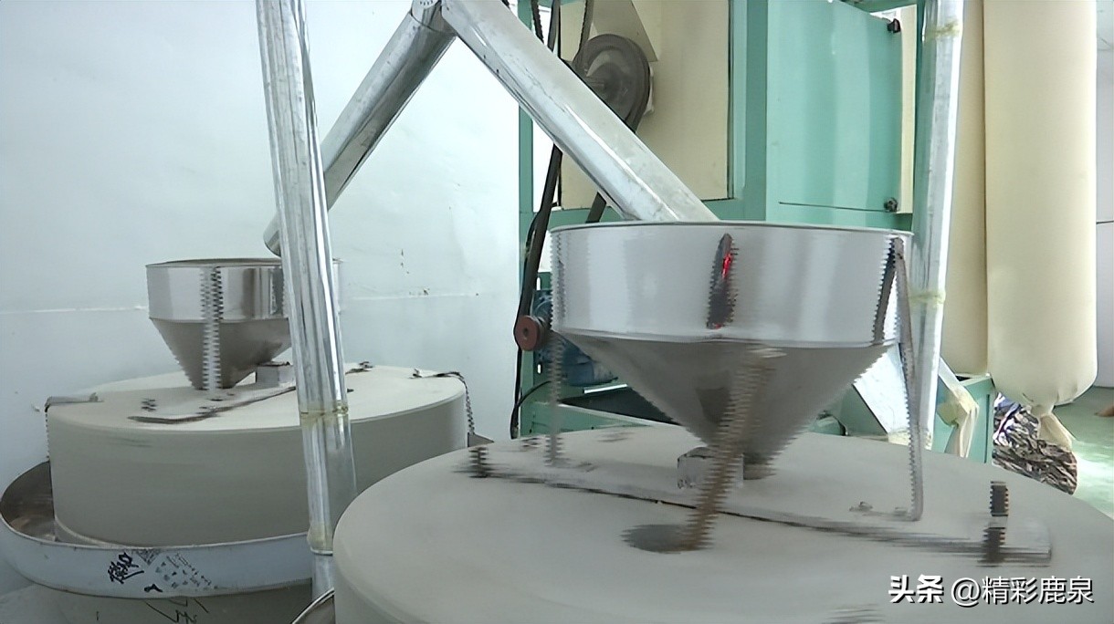 鹿泉：新型职业“新农民”，走出致富“新路子”