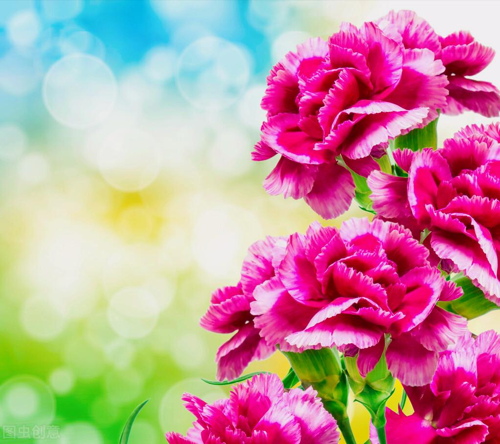 感恩母亲节祝自己节日快乐,母亲节感恩祝福词妈妈我爱你